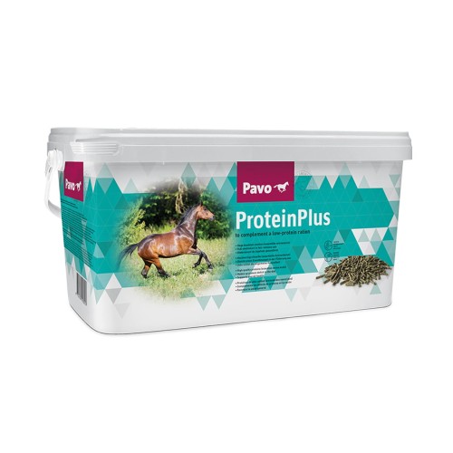 pavo-proteinplus_2000x2000_85977.jpg