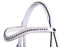 2518wi_browband (1).jpg