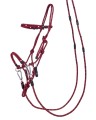 1141bo-1.jpg