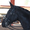 origine-dressage-double-bridle.jpg