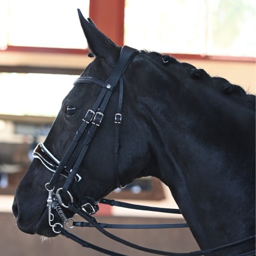 origine-dressage-double-bridle.jpg