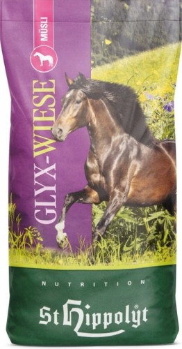 sthippolyt-glyx-wiese-musli-15-kg-726898-pl.jpg