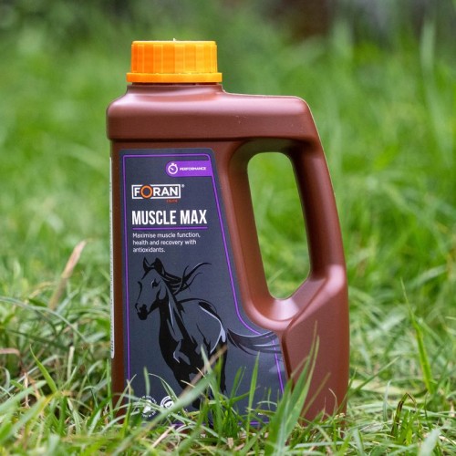 Muscle-Max-1-l.jpg