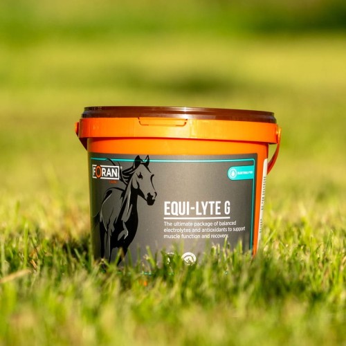 Equi-Lyte-G-1-kg.jpg