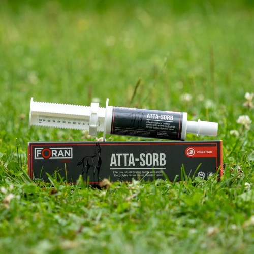 Atta-Sorb-pasta.jpg