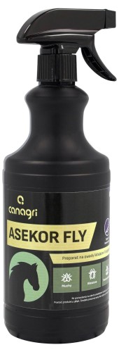 asekor7767676767.jpg