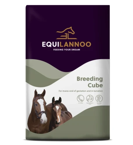 Equilannoo_Breeding_Cube_Paardenvoer_merrie_veulen_brok_fokkerij_drachtig.webp