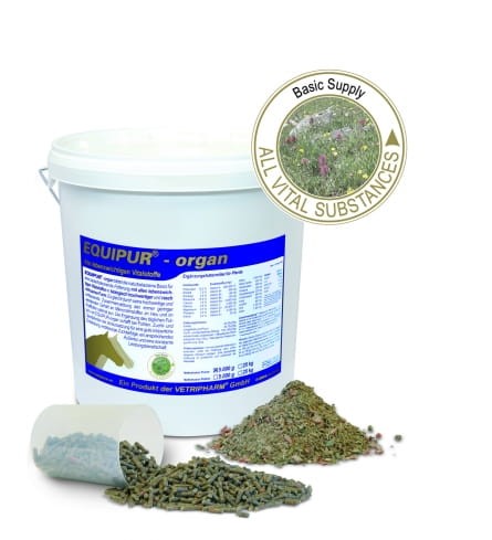 82a4fbfb2694f2bfba7598ef9028f509