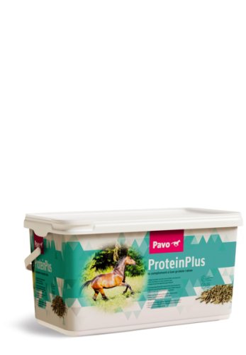 PAVO-ProteinPlus-7kg.png