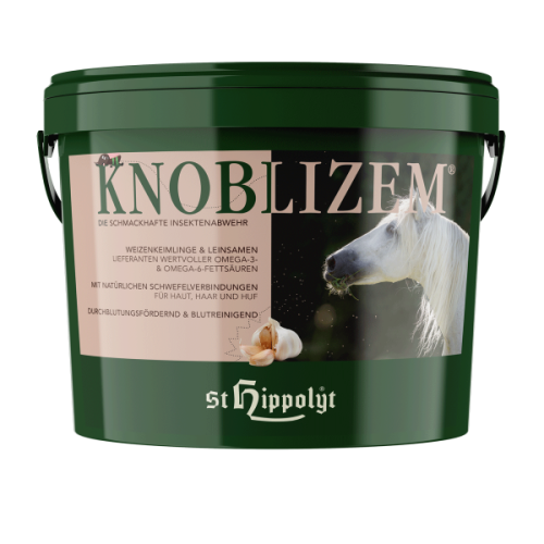 Knoblizem.webp