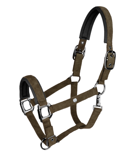 kantar sztruksowy brązowo zielony.png