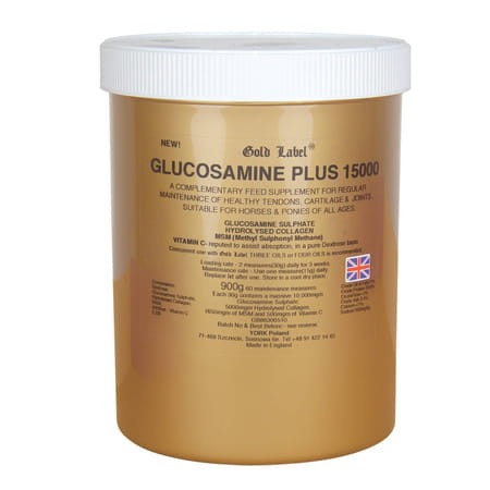 pol_pm_Glucosamine-Plus-15000-Gold-Label-mieszanka-z-zawartoscia-glukozaminy-na-stawy-chrzastki-i-sciegna-3653_1.jpg