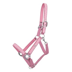Kantar Lyvia Qhp roz Pony24 h 