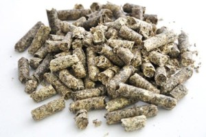 Wysłodki buraczane niemelasowane - worek 25 kg