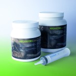 Equina Meganutril Junior  - witaminy i minerały 1000ml