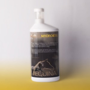 Equina Myofortil 1000ml - budowa mięśni
