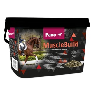 Pavo Muscle Build 3kg wsparcie rozbudowy masy mięśniowej