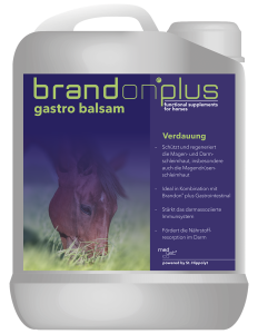 BRANDON+ GASTRO BALSAM – BALSAM NA WRZODY 2,5 L