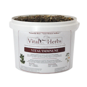 Vital’Immune 1kg – naturalne wspomaganie odporności