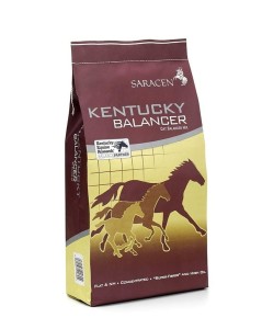 SARACEN Kentucky Balancer 20kg