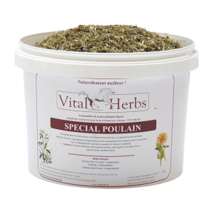 Special Foal 1kg wspomaganie w okresie wzrostu